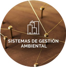 img-gestion